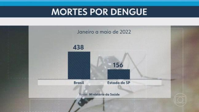Mortes por dengue de janeiro a maio de 2022 — Foto: Reprodução/TV Globo