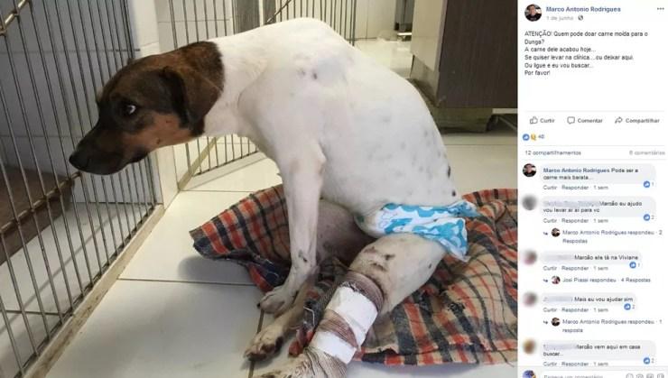Marcos Antônio Rodrigues realiza uma campanha nas redes sociais para conseguir doações ao cachorro (Foto: Reprodução/Facebook)