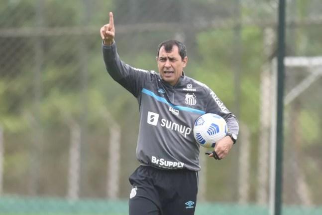 Fábio Carille durante treino do Santos — Foto: Ivan Storti/Santos FC