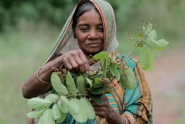 Foto (de arquivo) de uma mulher em floresta na Índia — Foto: Getty Images via BBC