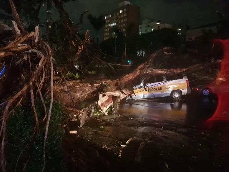 Árvore cai sobre van na Avenida Nossa Senhora do Carmo, em BH, e motorista fica preso às ferragens — Foto: Danilo Girundi/TV Globo