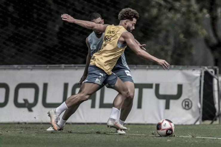 Lucas Venuto participa de treino do Santos: por enquanto ele está integrado ao elenco — Foto: Ivan Storti/Santos FC