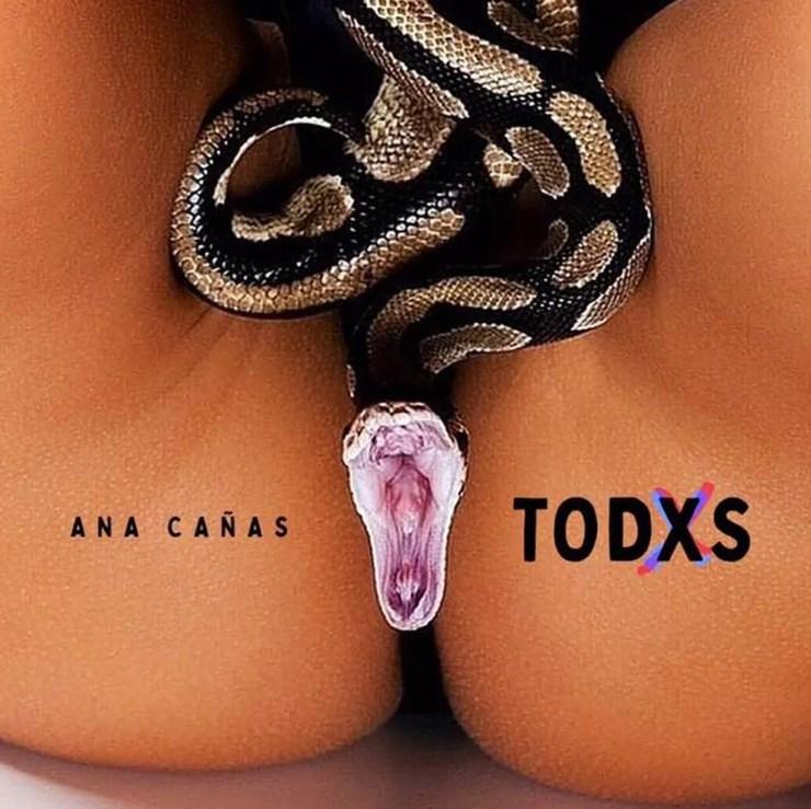 Capa do álbum 'Todxs', de Ana Cañas — Foto: Reprodução