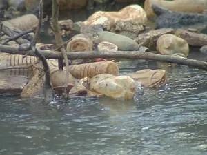 Garrafas pets dominam o cenário do rio Preto (Foto: Reprodução / TV TEM)