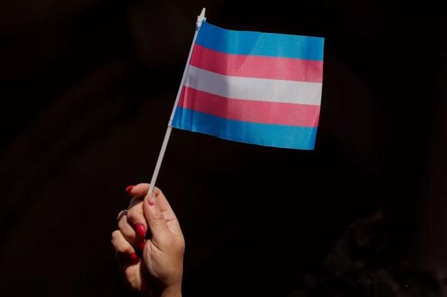 Uma pessoa segura bandeira do movimento trans — Foto: Brendan McDermid/Reuters/Arquivo