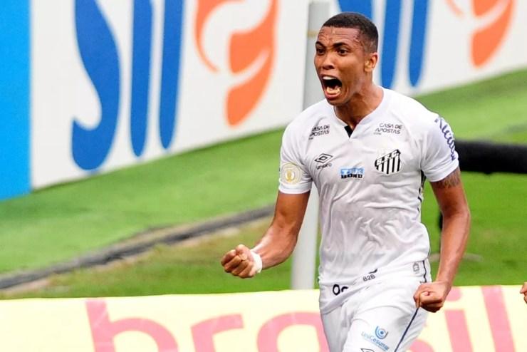 Madson comemora gol do Santos contra o Grêmio — Foto: RICARDO RIMOLI/UAI FOTO/ESTADÃO CONTEÚDO