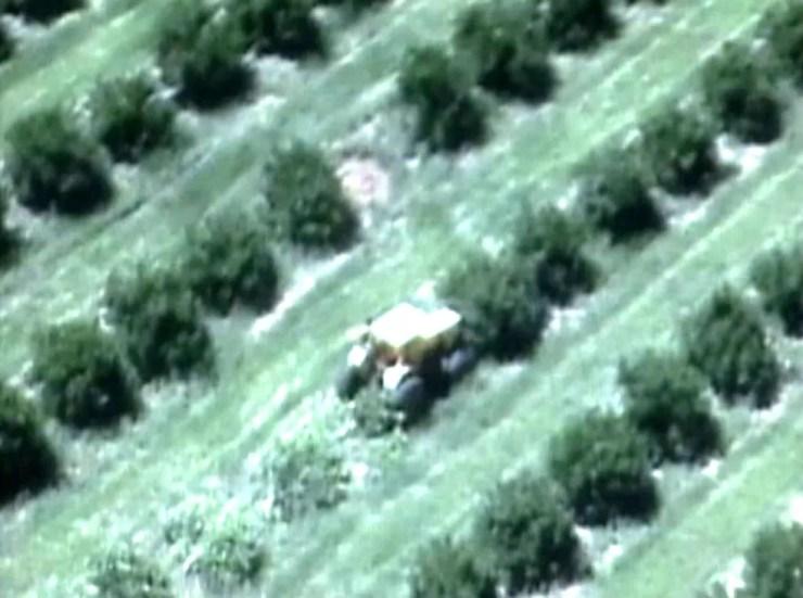 Ação do MST na mesma fazenda, em 2009, ganhou repercussão nacional com imagens aéreas da destruição de pés de laranja (Foto: Reprodução / TV TEM)
