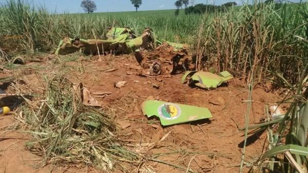 Avião agrícola caiu em uma área de canavial em Promissão  (Foto: J. Serafim / Divulgação )