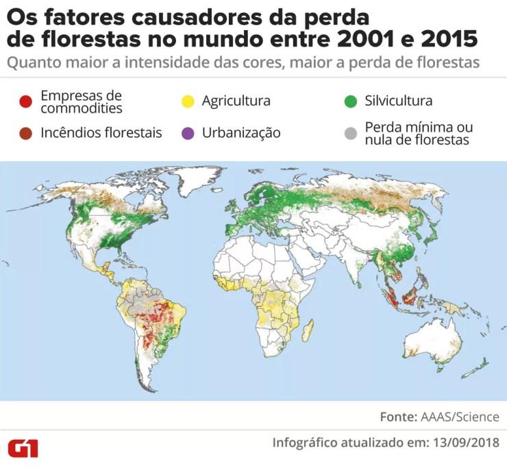 Os fatores causadores da perda de florestas no mundo entre 2001 e 2015 — Foto: Alexandre Mauro/G1
