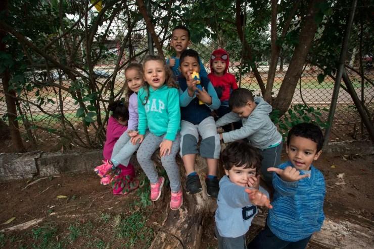 Crianças sobem em árvores e brincam em tanques de areia durante o dia nas creches. — Foto: Marcelo Brandt/G1