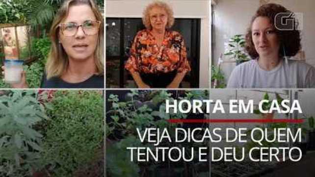 VÍDEO: Horta em casa - veja dicas de quem tentou e deu certo