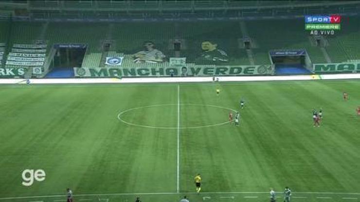 Palmeiras x CRB - Melhores Momentos