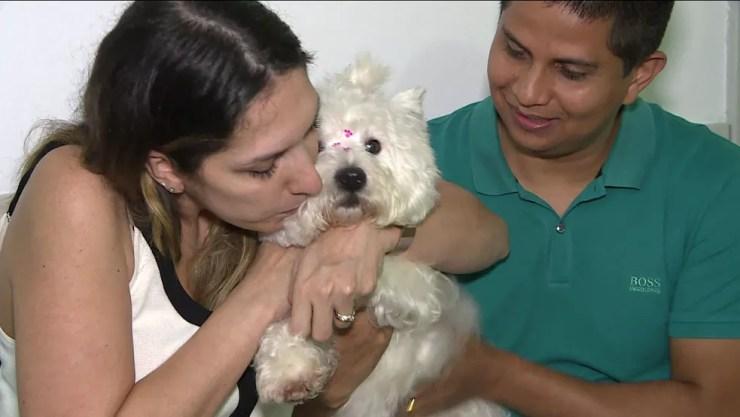 Cadela que foi roubada faz festa ao reencontrar donos em SP — Foto: Reprodução TV Globo
