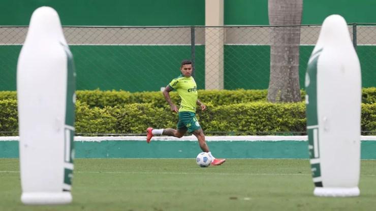 Dudu, atacante do Palmeiras — Foto: Cesar Greco / Ag. Palmeiras
