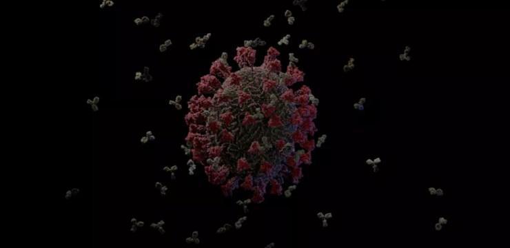 Reprodução em 3D que ilustra a resposta do sistema imune à infecção pelo novo coronavírus — Foto: Visual Science/Reprodução