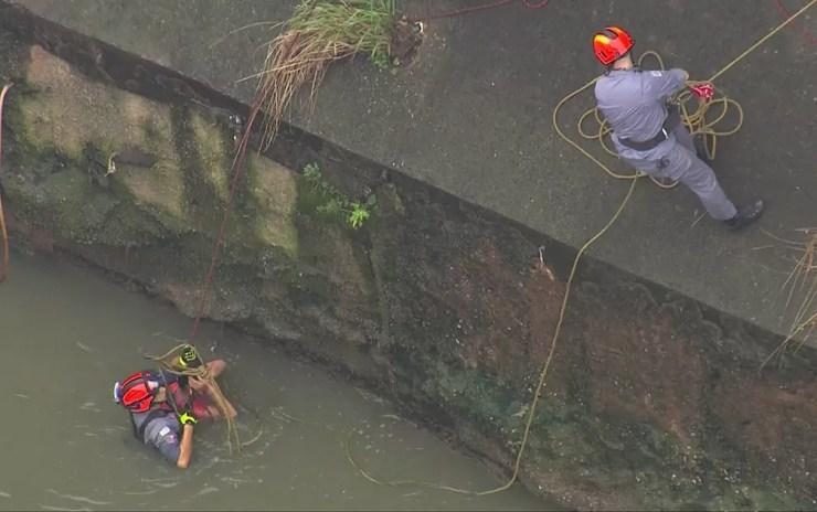 Bombeiros trabalham em resgate a homem que caiu no Rio Tamanduateí — Foto: Reprodução/TV Globo