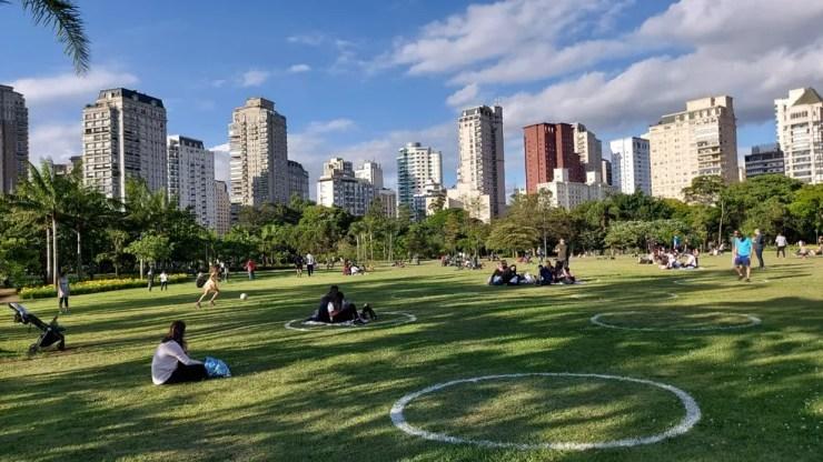 Visitantes permanecem em círculos pintados no gramado do Parque do Povo, na Zona Oeste, para respeitar o isolamento social — Foto: Rodrigo Rodrigues/G1