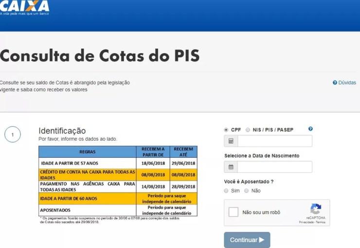 Tela do site da Caixa na qual é preciso colocar os dados pessoais para acessar o saldo do PIS (Foto: Reprodução)