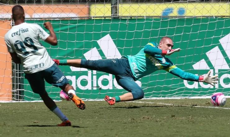 Fernando Prass é exigido durante treino de finalização no Palmeiras (Foto: César Greco/Ag. Palmeiras)