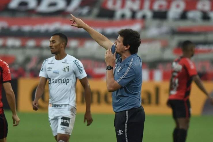Fernando Diniz durante jogo entre Athletico e Santos pela Copa do Brasil — Foto: Ivan Storti/Santos FC