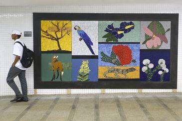 Mosaicos da artista plástica Cida Carvalho homenageiam Brasília e cerrado em estações de metrô da cidade.
