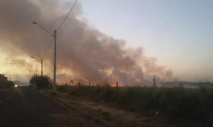 Incêndio atingiu área próxima ao bairro Luz da Esperança em Rio Preto  (Foto: Reprodução/TV Tem)