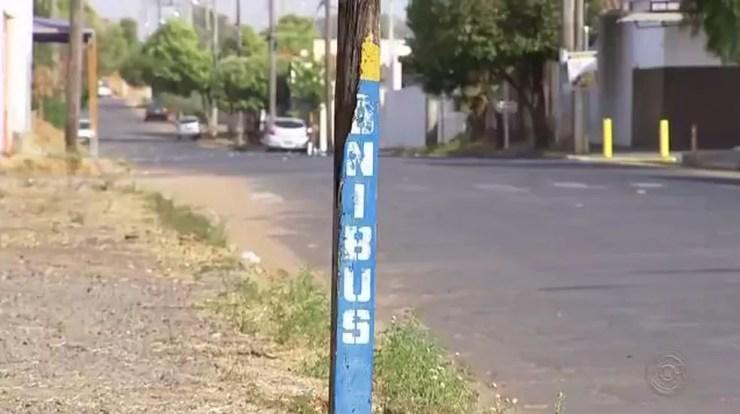 Empresa responsável pelo transporte público de Araçatuba (SP) não terá obrigação de melhorar pontos de ônibus (Foto: Reprodução/TV TEM)