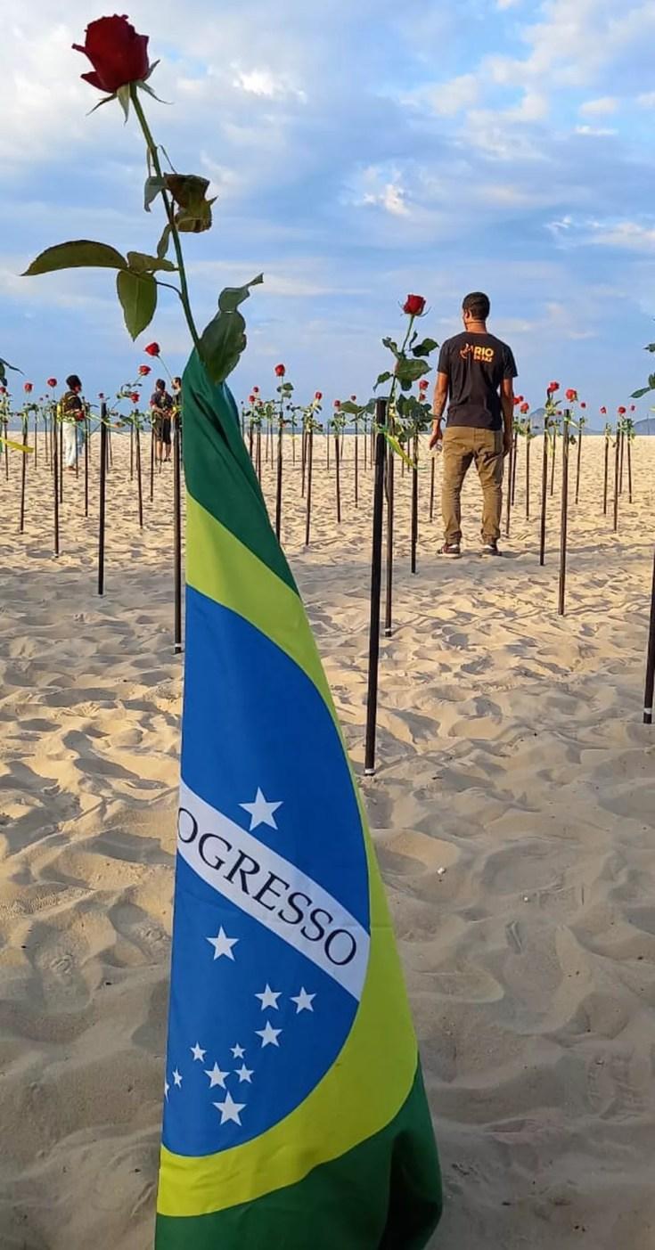 Bandeira do Brasil numa rosa plantada em Copacabana pelo Rio de Paz — Foto: Reprodução