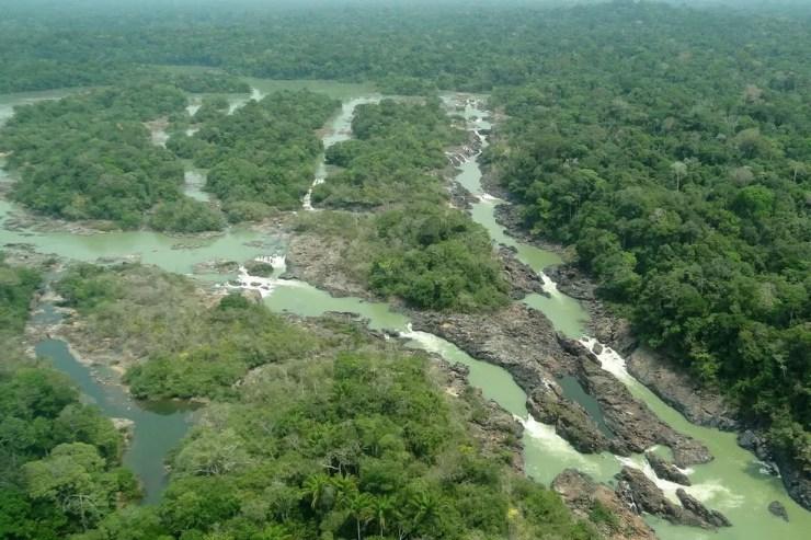 MP previa redução de parte da Floresta Nacional do Jamanxim (Foto: Reprodução)