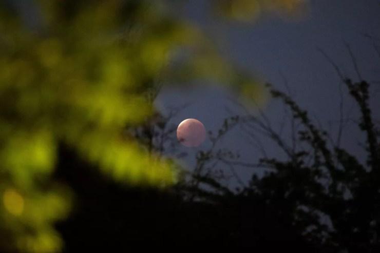 Eclipse lunar parcial é visto em Santiago, no Chile — Foto: Pablo Sanhueza/Reuters