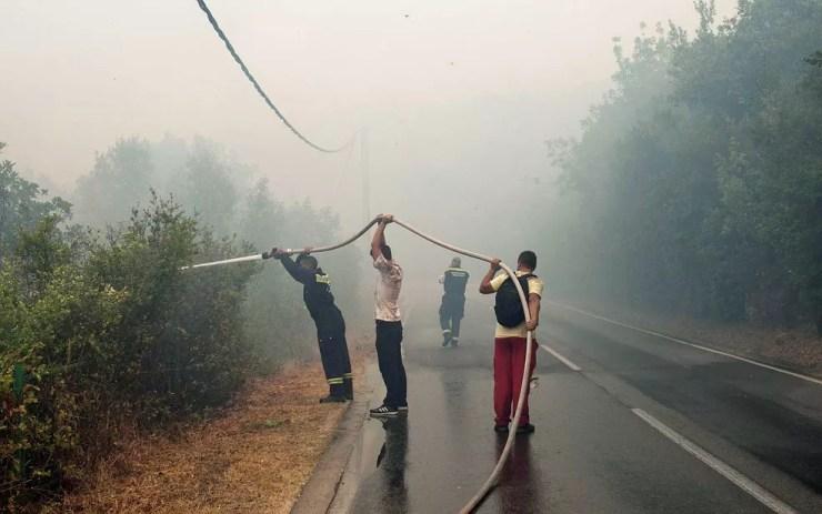Bombeiros tentam controlar incêndio florestal na península de Lustica (Foto: Stevo Vasiljevic / Reuters)