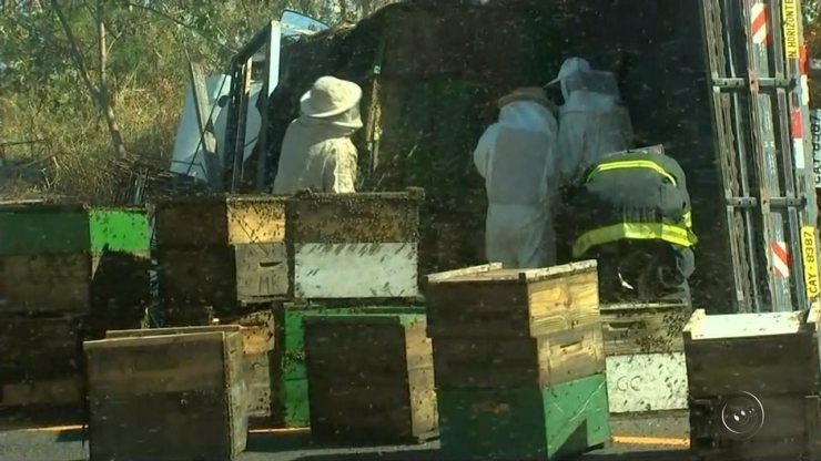 Acidente entre carro e caminhão carregado com abelhas deixa dois mortos