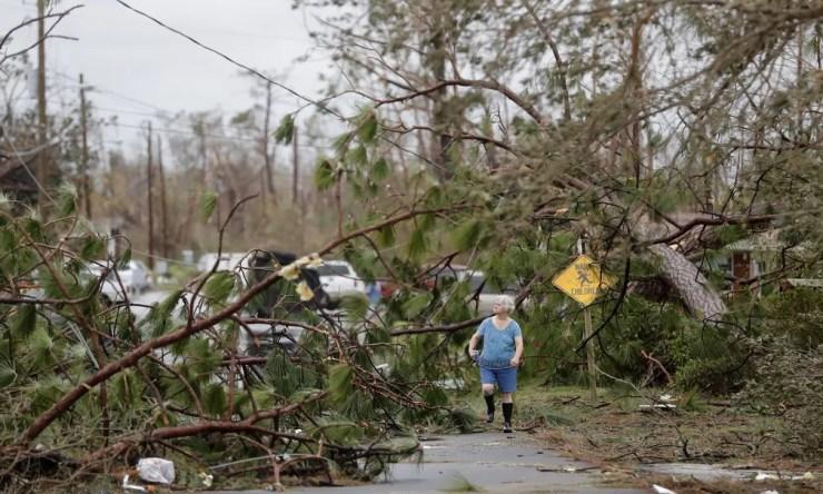 Mulher caminha entre árvores caídas pela passagem do furacão Michael em Panama City, na Flórida — Foto: Gerald Herbert/AP Photo