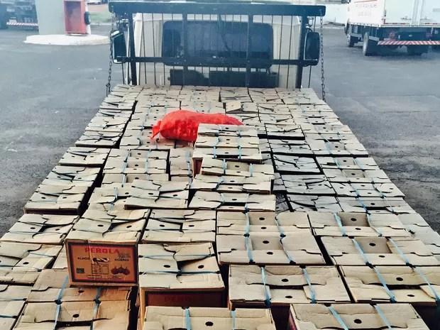 Mercadoria foi roubada em Campina Verde e está avaliada em R$ 50 mil (Foto: Divulgação / Polícia Civil)