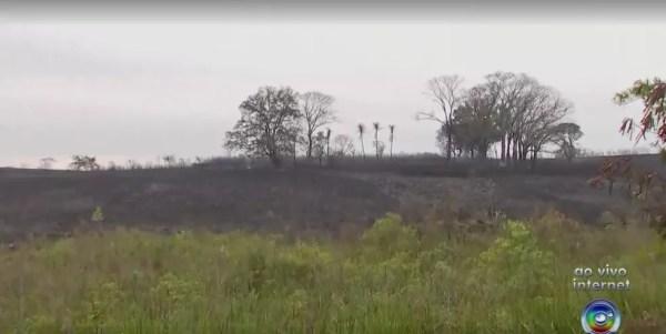 Área de pastagem atingida por fogo fica às margens da Marechal Rondon em Araçatuba (Foto: Reprodução/TV TEM)