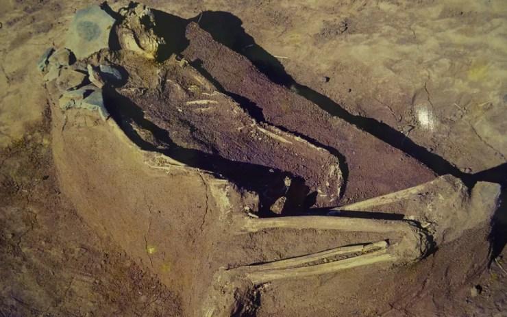 Esqueleto de índio pré-histórico encontrado sob o solo de Monte Alto, SP — Foto: Museu de Arqueologia de Monte Alto/Divulgação