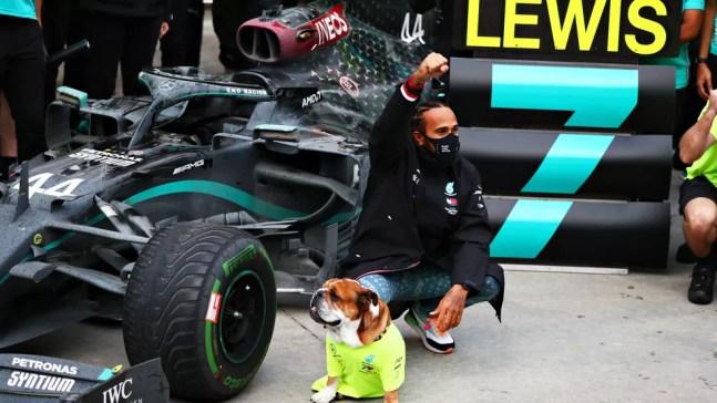 Lewis Hamilton comemora o heptacampeonato na foto oficial da Mercedes após o GP da Turquia — Foto: Dan Istitene/F1 via Getty Images