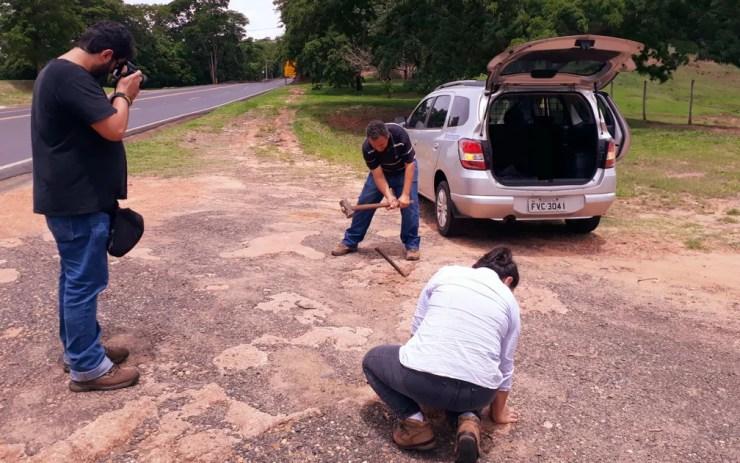 Equipe do G1 encontra fragmento de fóssil durante reportagem em rodovia em Monte Alto, SP — Foto: Adriano Oliveira/G1