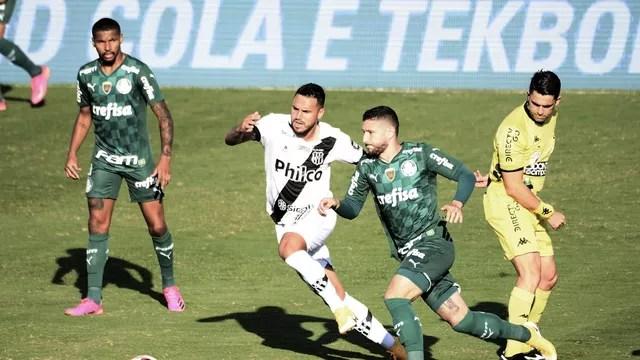 Ponte Preta x Palmeiras, 12ª rodada do Paulistão