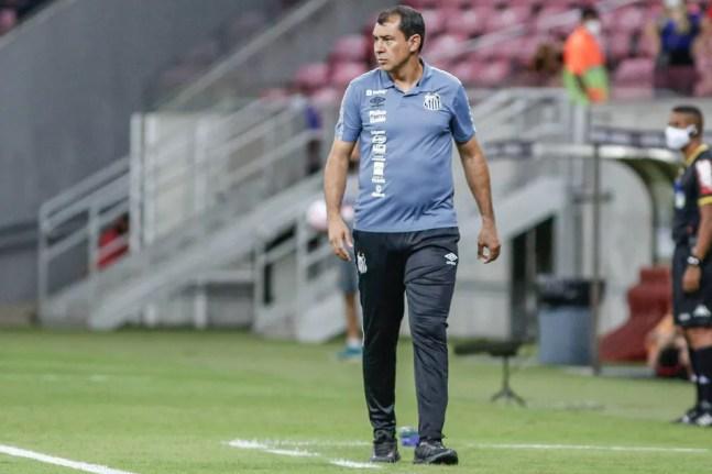 Fábio Carille, técnico do Santos, no jogo contra o Sport — Foto: Paulo Paiva/AGIF
