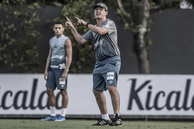 Fernando Diniz e Kaiky (ao fundo) em treino do Santos — Foto: Ivan Storti/Santos FC