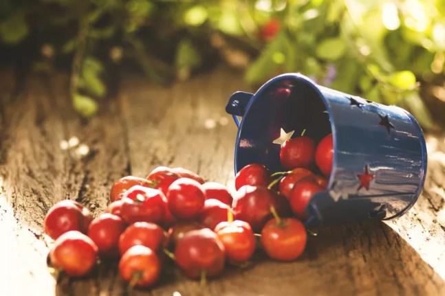 Acerola  — Foto: Istock Getty Images