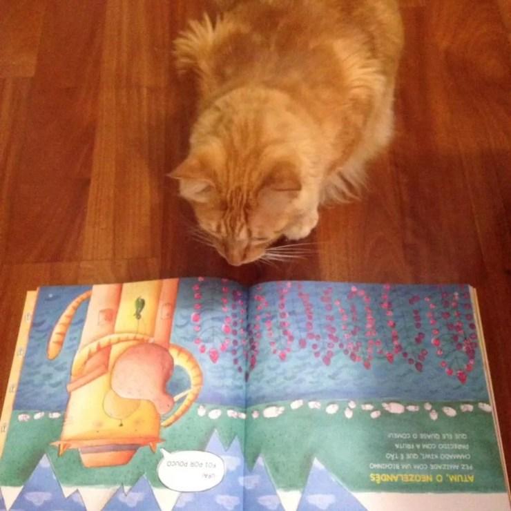 No livro, gato Atum mora em vários países em suas sete vidas (Foto: Thais Laham/Arquivo pessoal)