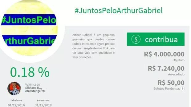 Vaquinha online já arrecadou mais de R$ 7 mil (Foto: Reprodução)