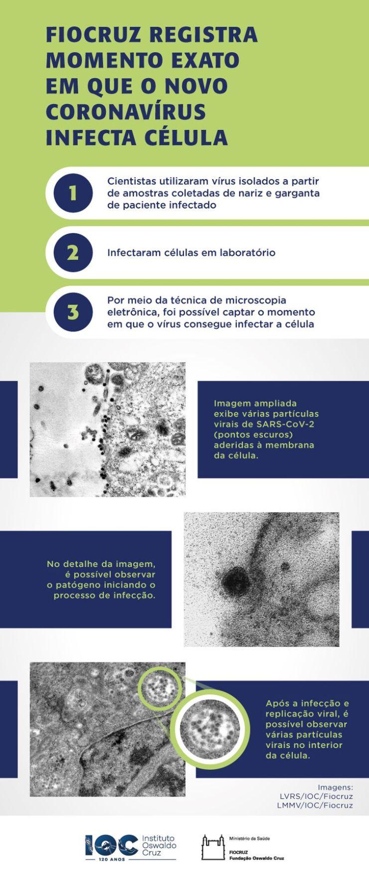 Fiocruz registra momento em que coronavírus infecta célula