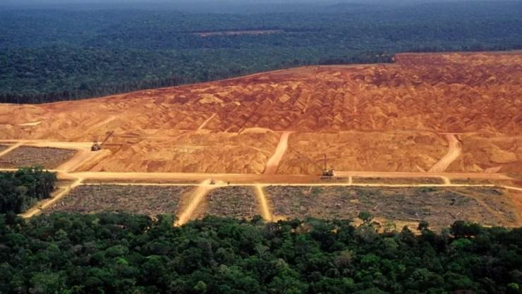 Área desmatada em floresta — Foto: Getty Images