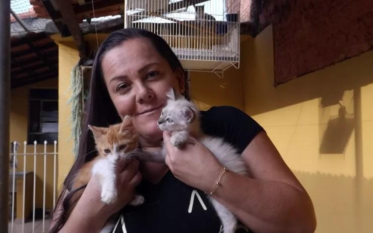 Gatos se espalham até pelo telhado da casa de Katiuscia (Foto: Caio Gomes Silveira/ G1)