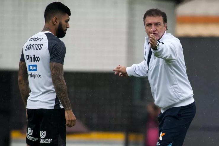 Gabigol tem sido utilizado como "camisa 9" por Cuca, mas diz que joga fora de posição (Foto: Ivan Storti/Santos FC)