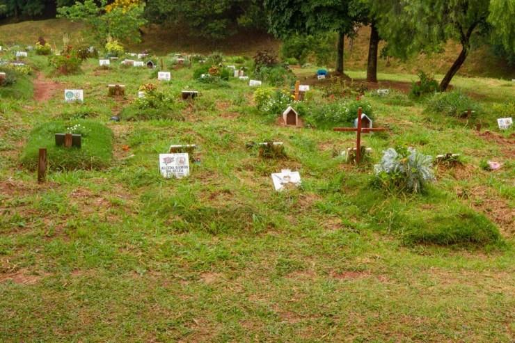Lápides no cemitério Vila Nova Cachoeirinha, na zona norte de São Paulo (SP), em 25 de fevereiro. — Foto: ROGÉRIO GALASSE/FUTURA PRESS/ESTADÃO CONTEÚDO