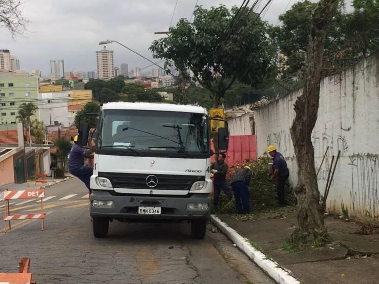 Funcionários da prefeitura de Santo André retiram galhos de árvore que caiu com a enchente ao lado de cemitério que ficou sem parte de muro — Foto: Glauco Araújo/G1